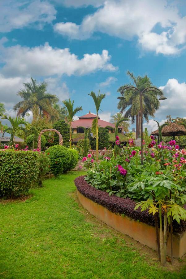 Kc'S Home Sauraha Exterior foto